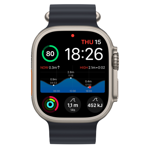 Apple Watch face with tide curve, swell and energy